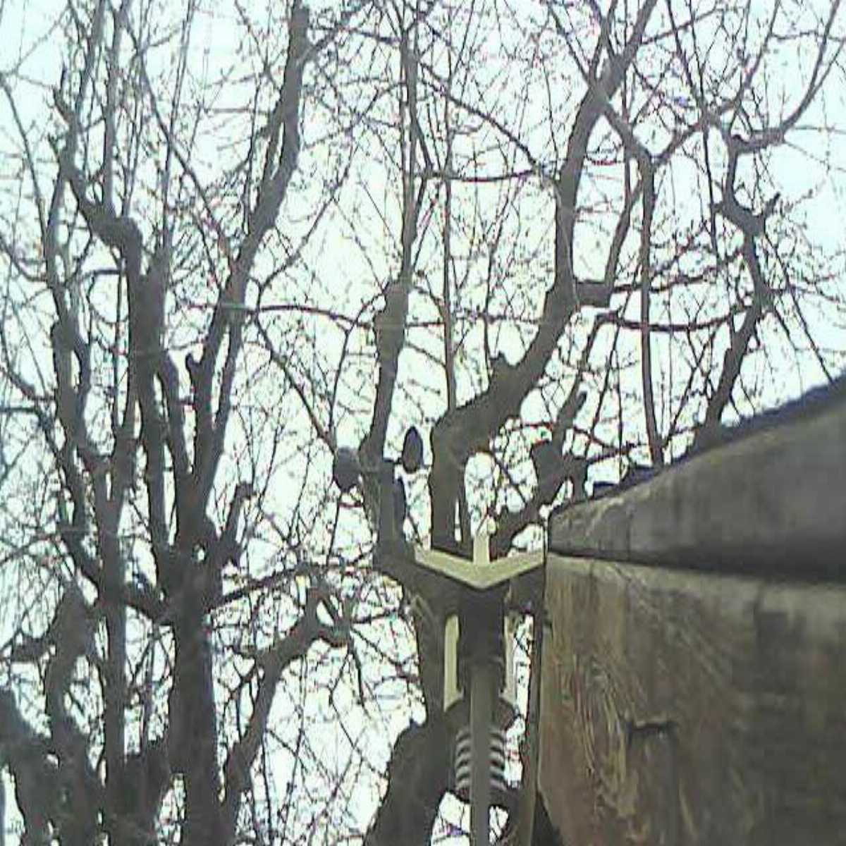 Zachenberg webcam