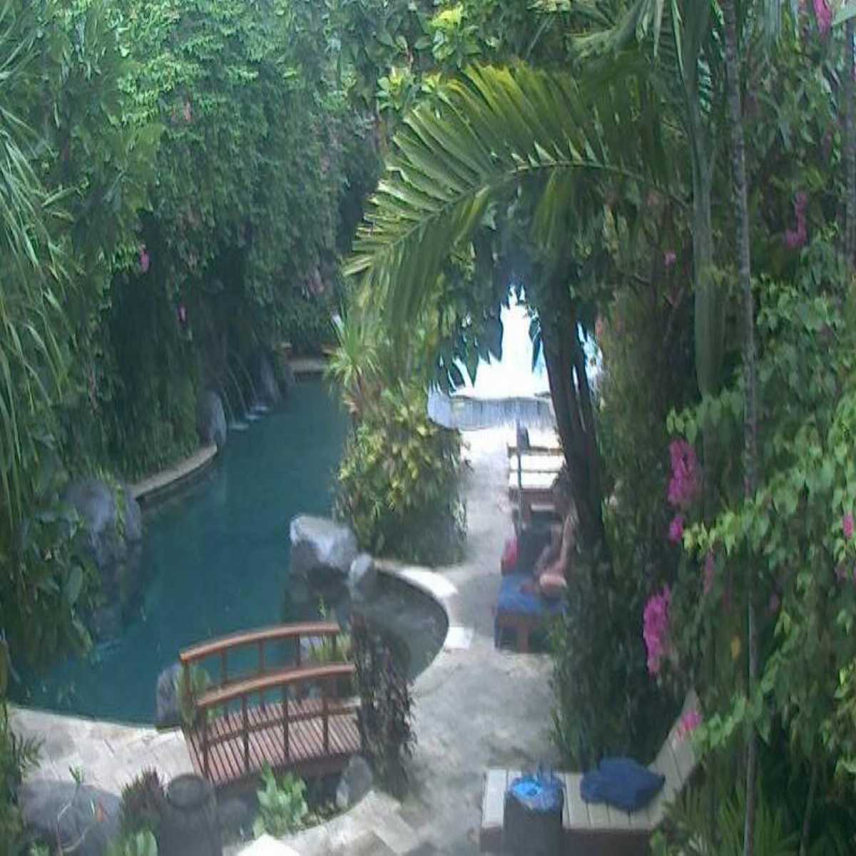 Kulat webcam