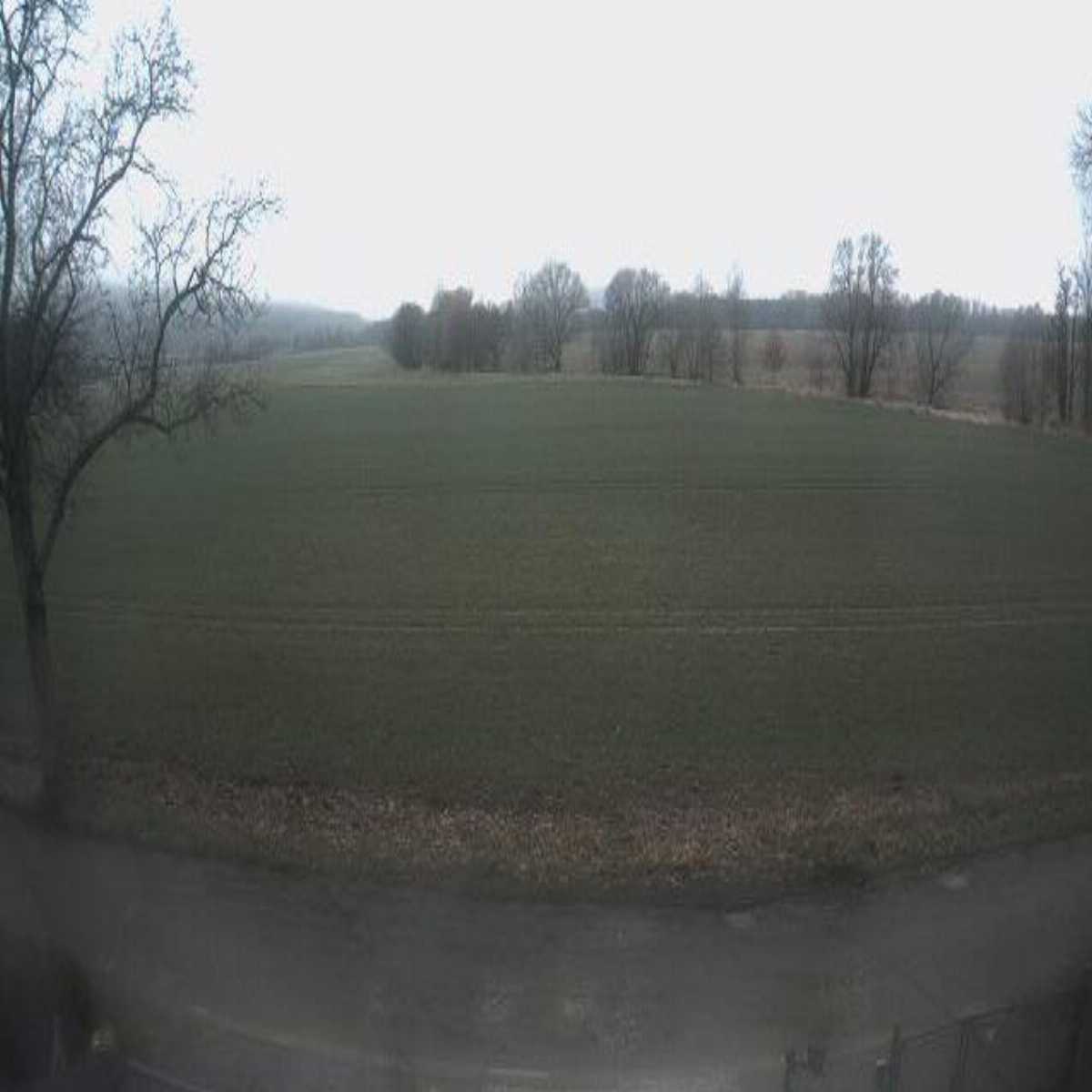 Klingenberg webcam