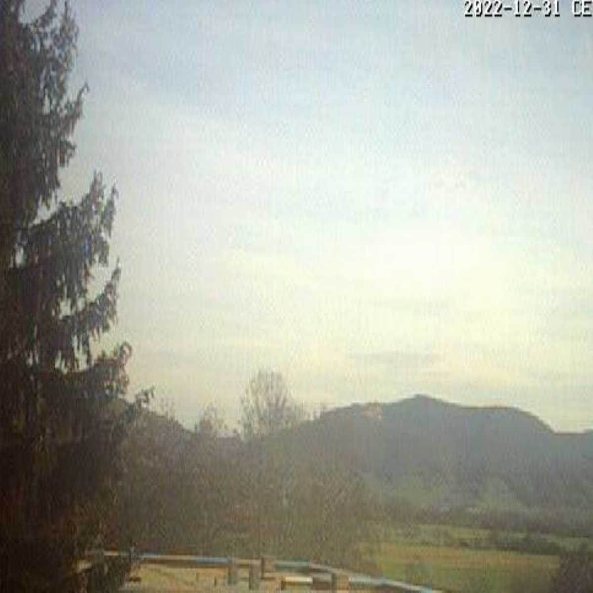 Schallstadt webcam