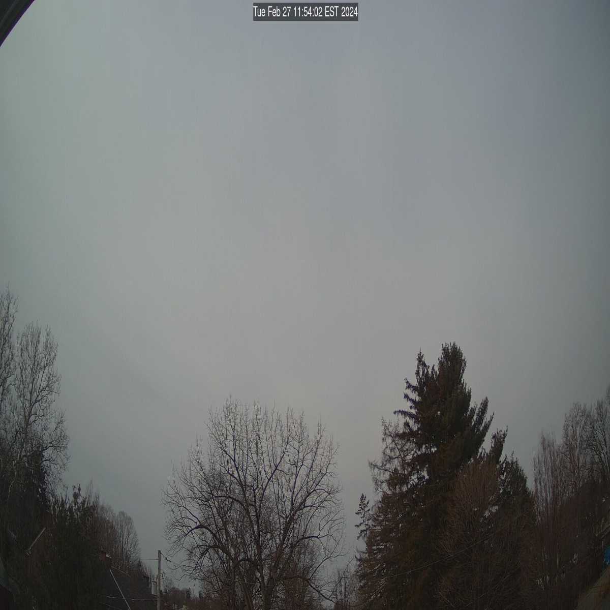 Erie webcam