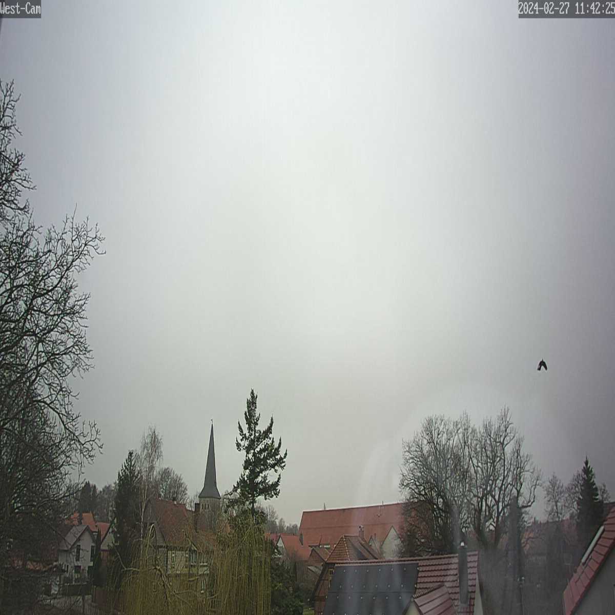 Veckenstedt webcam