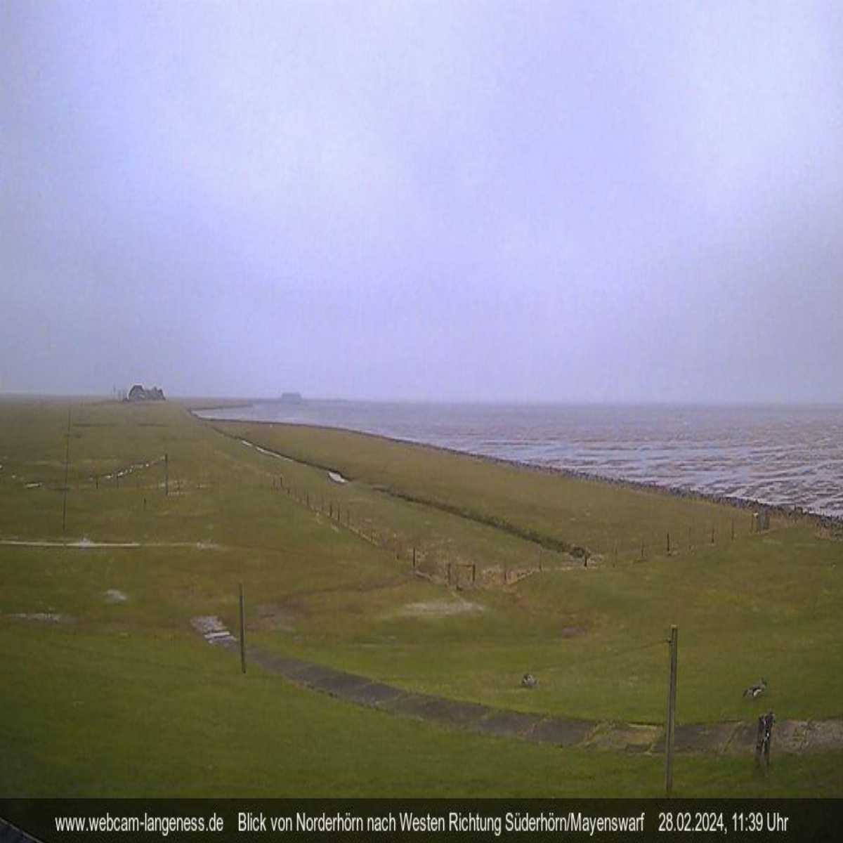 Reinbek webcam