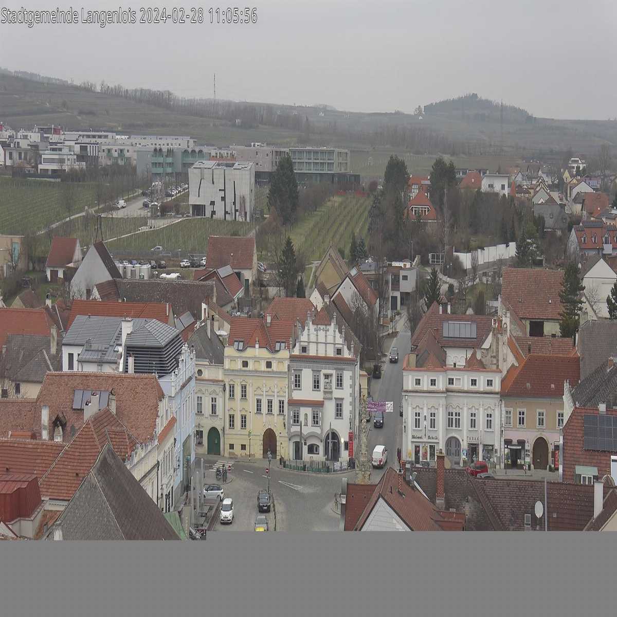Ertl webcam