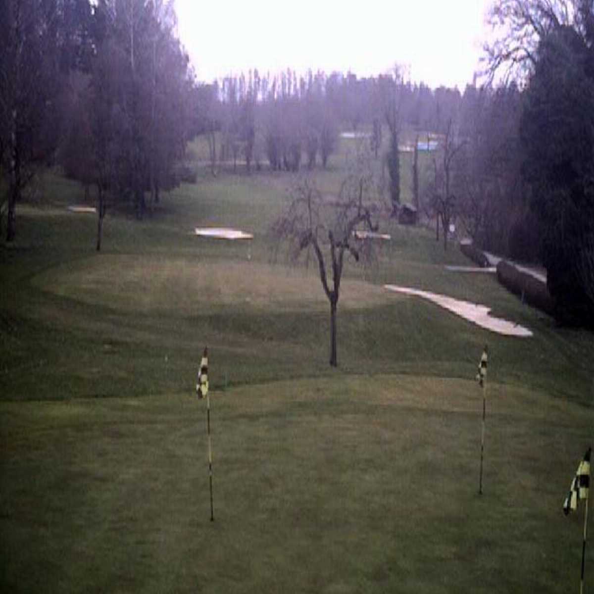 Schallstadt webcam