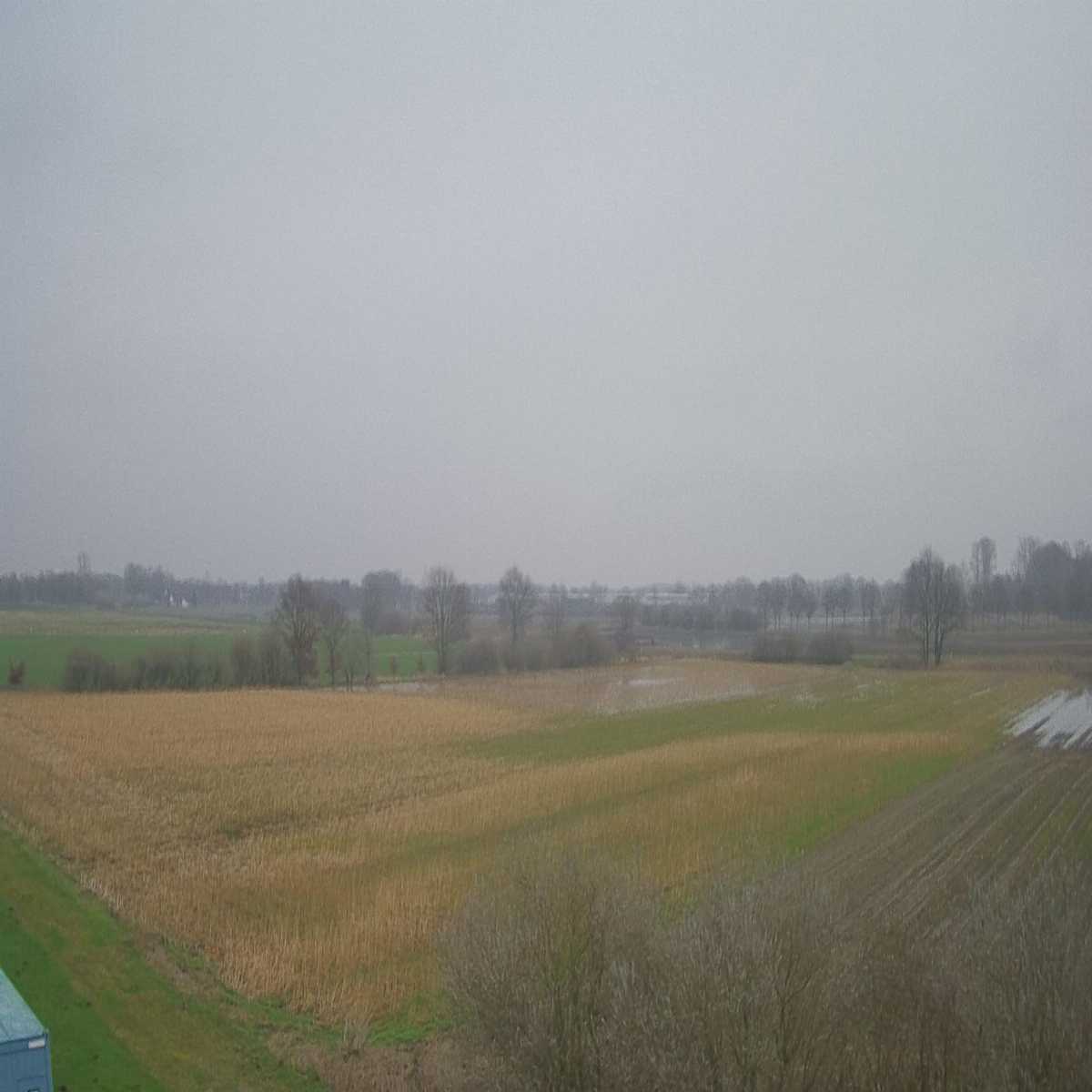 Reppenstedt webcam