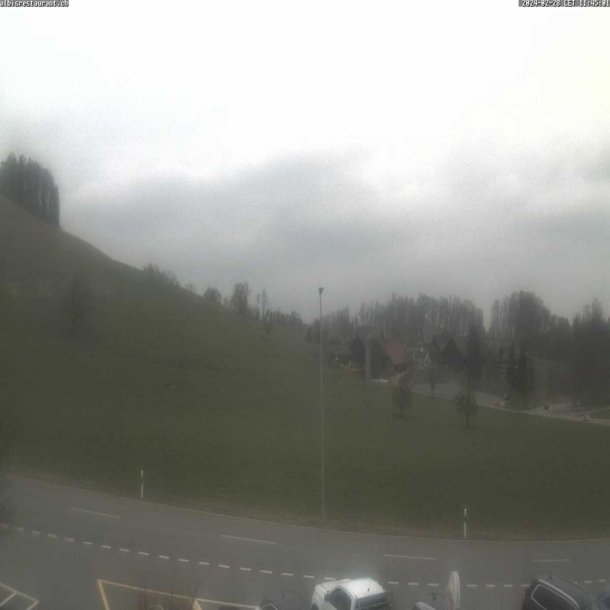 Richterswil webcam