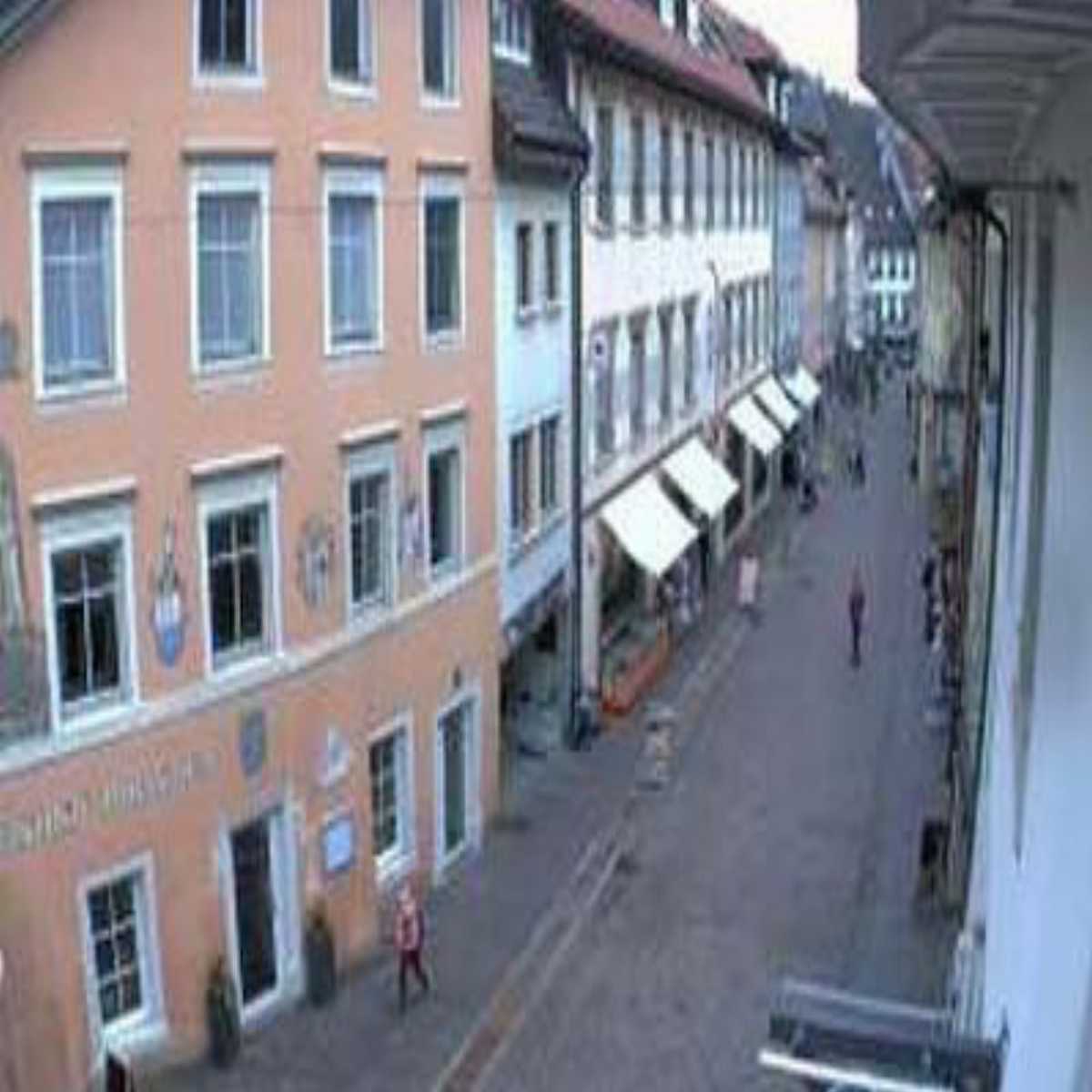 Schallstadt webcam