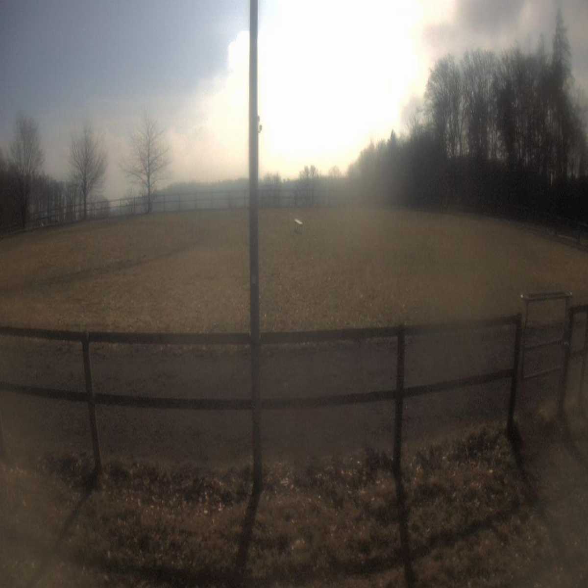 Schallstadt webcam