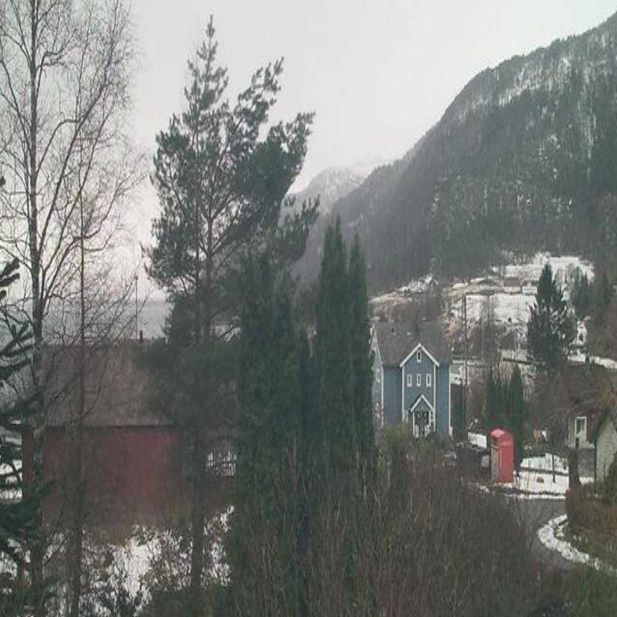 Floro webcam