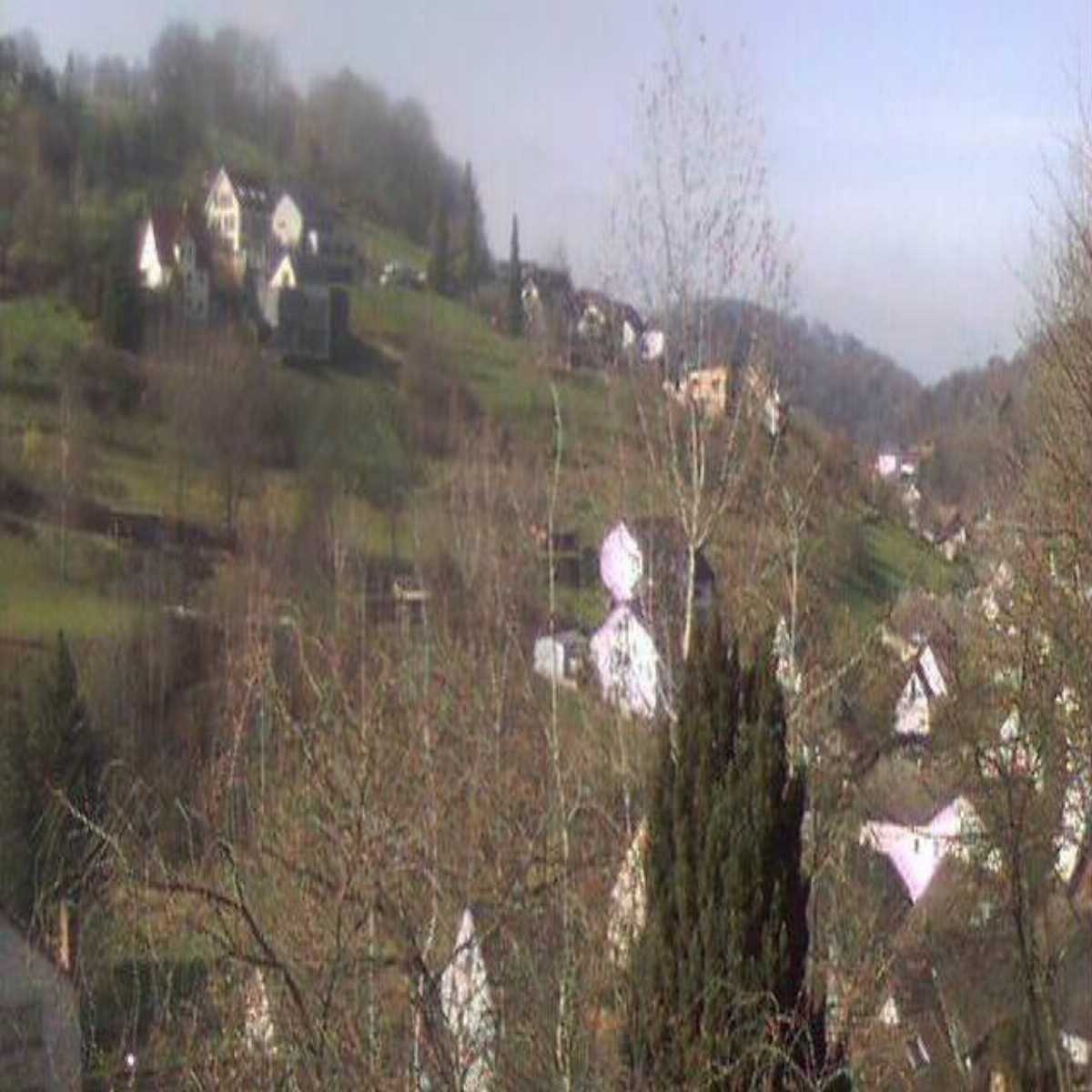 Zachenberg webcam