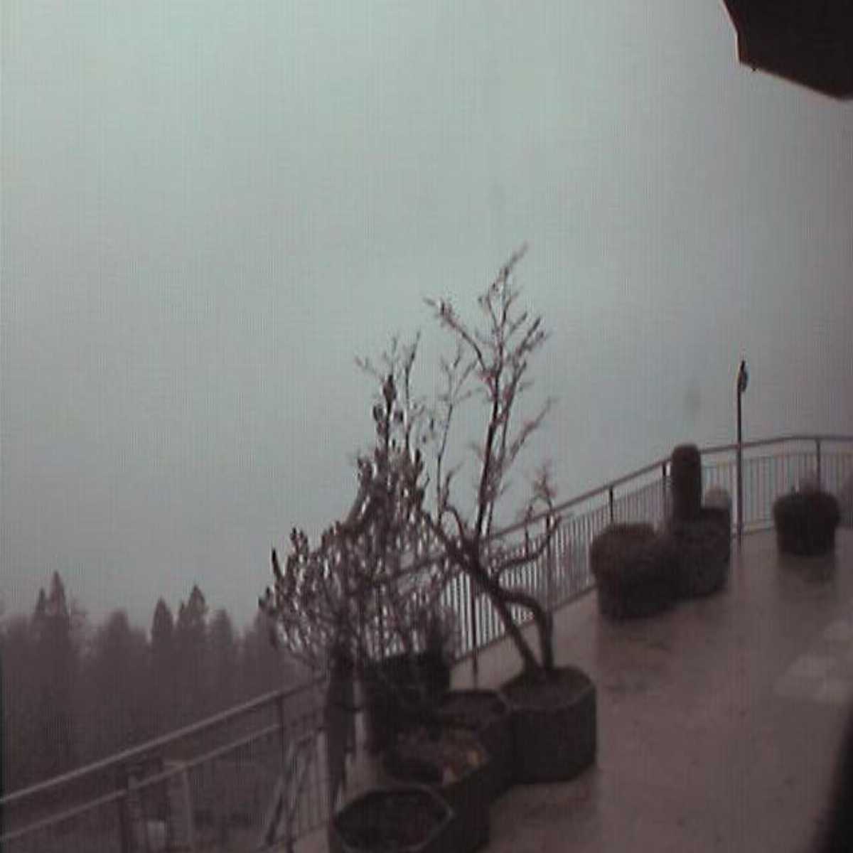 Ruschegg webcam
