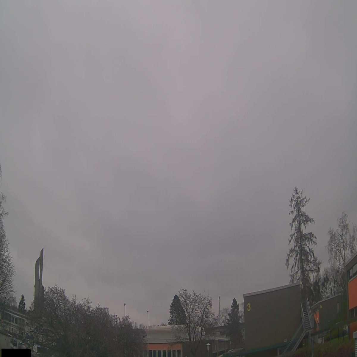 Reppenstedt webcam