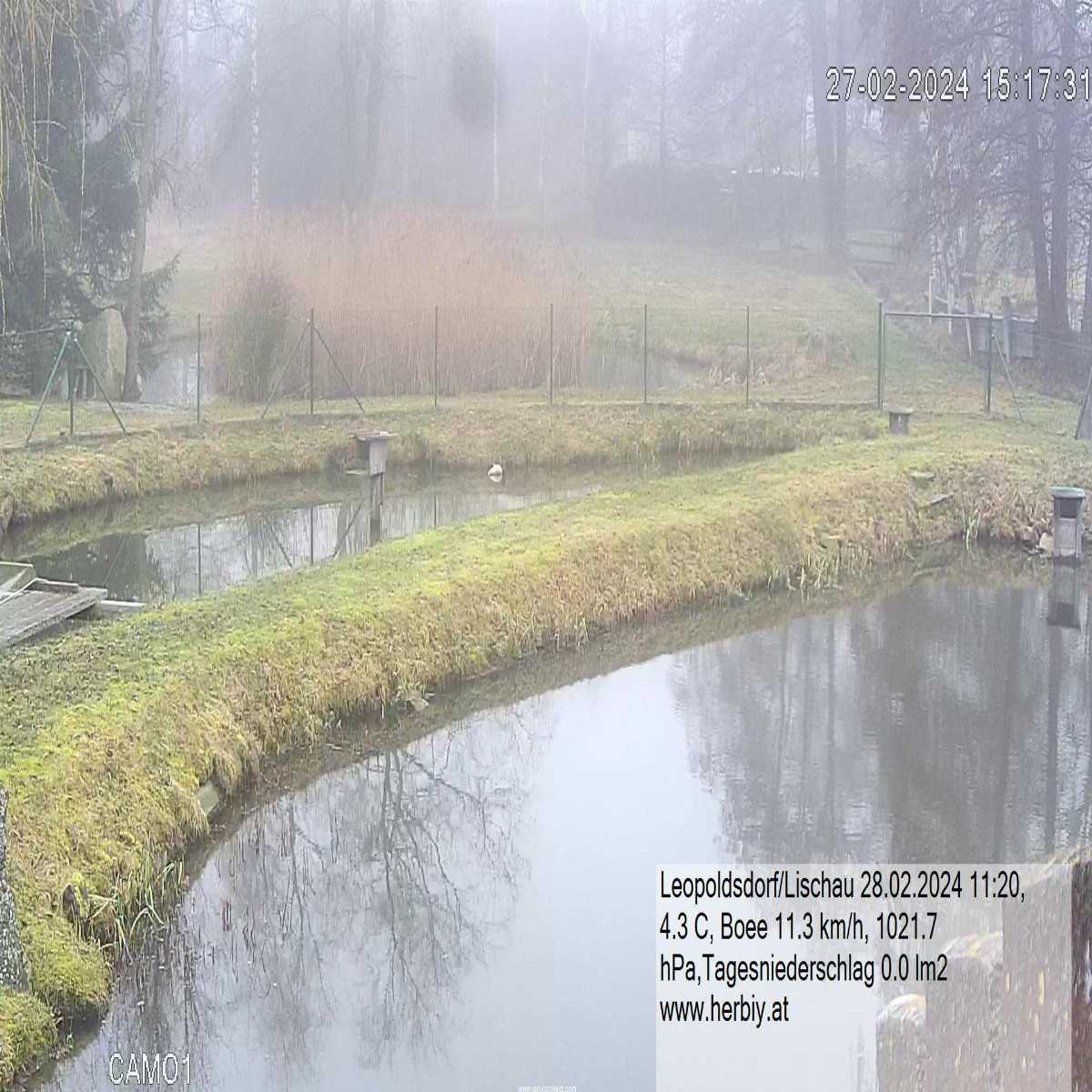 Ertl webcam