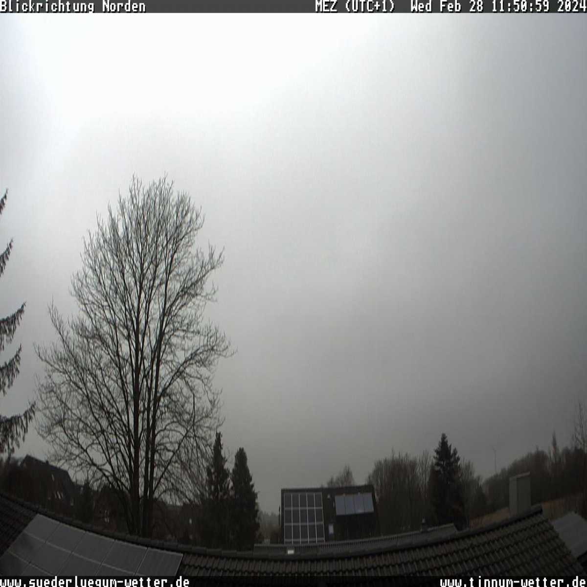 Reinbek webcam