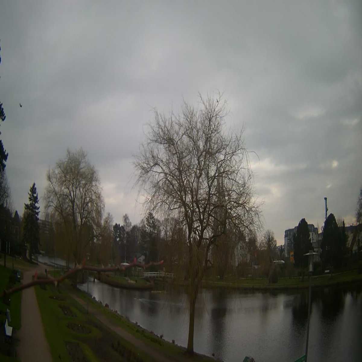 Reinbek webcam