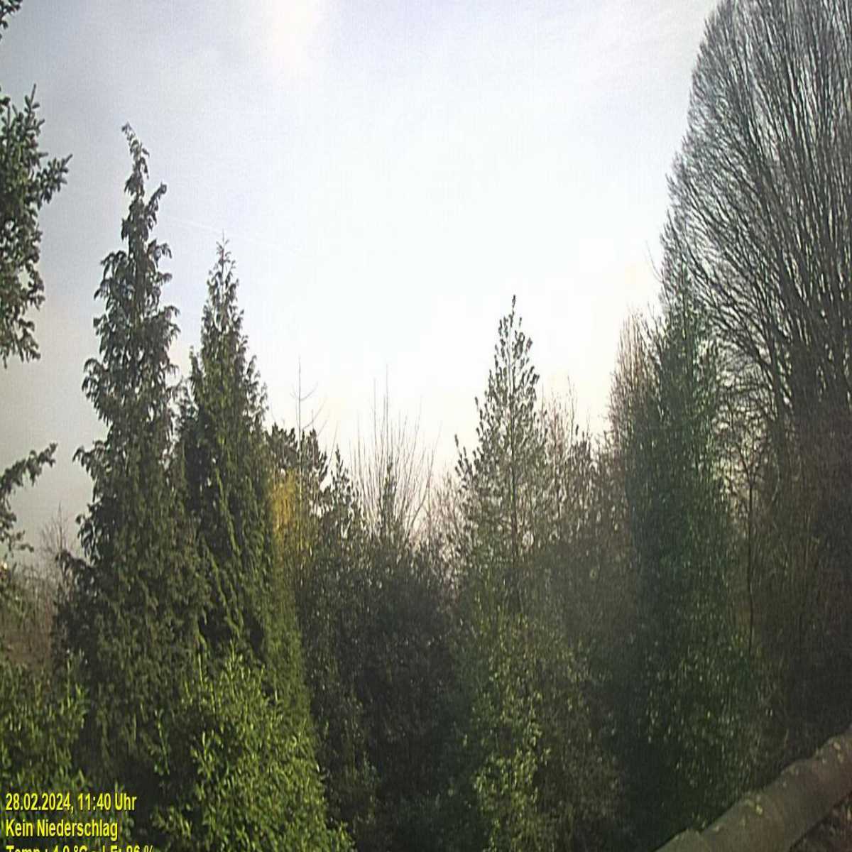 Riesenbeck webcam