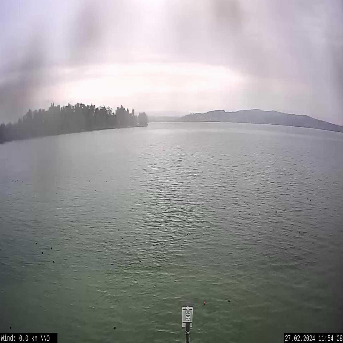 Schallstadt webcam