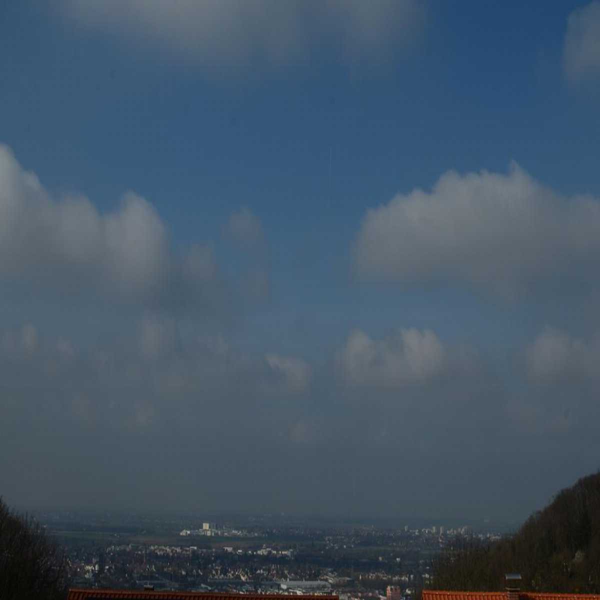 Schallstadt webcam