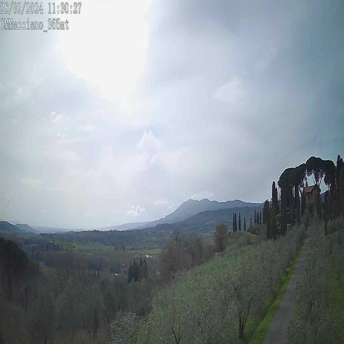 Pietrasanta webcam