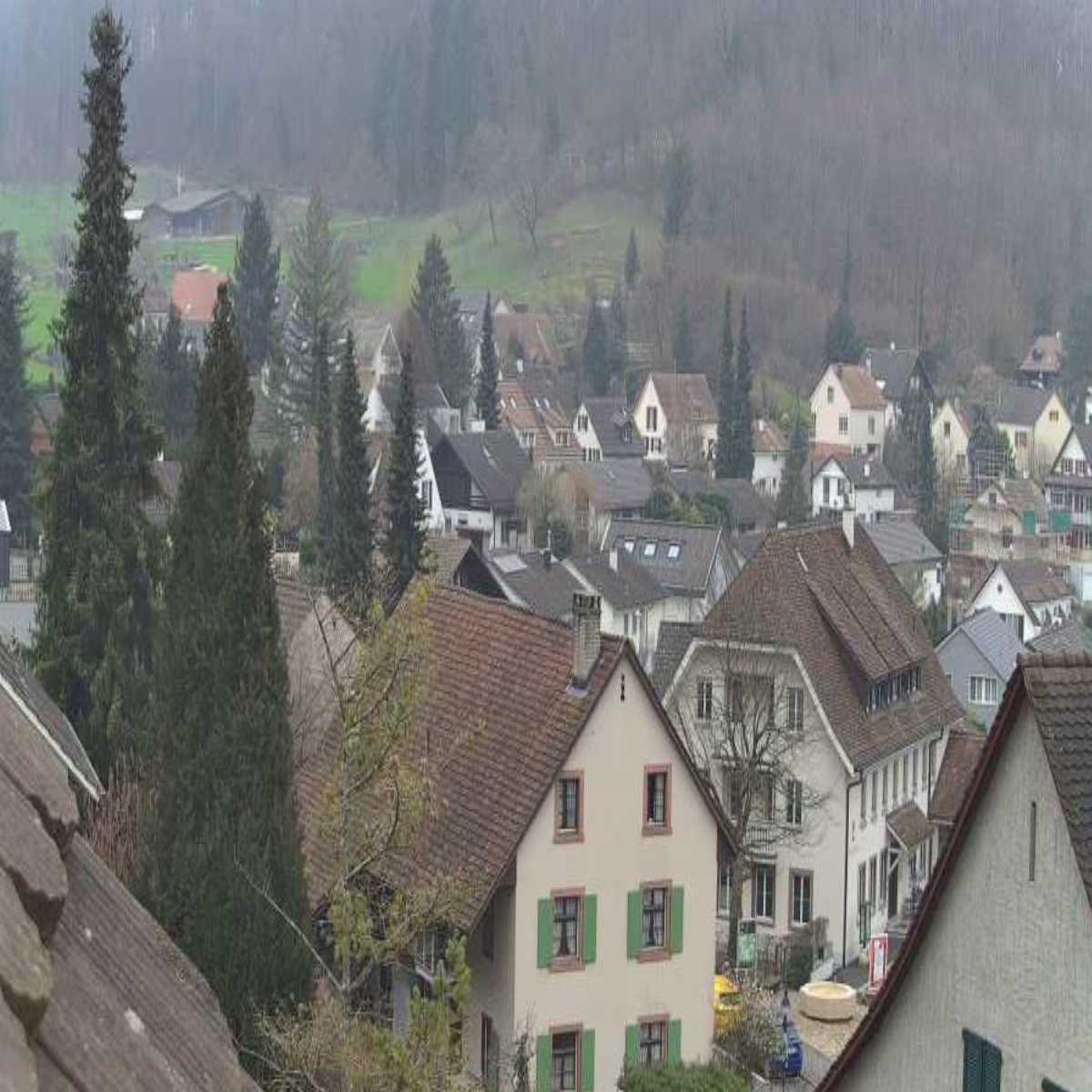 Schallstadt webcam