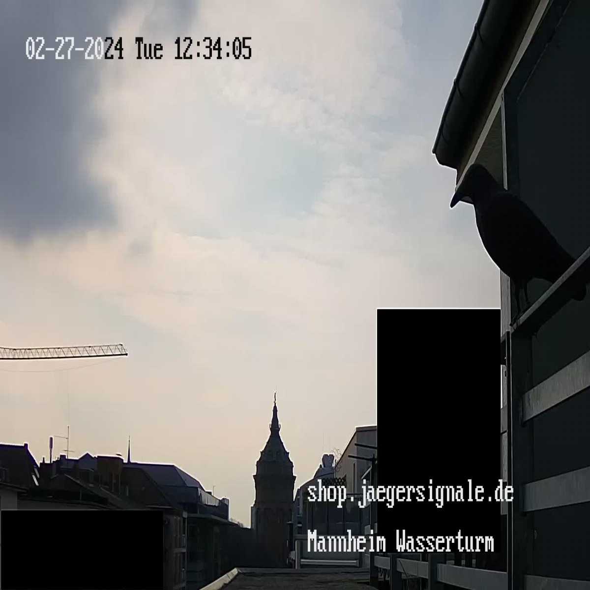 Kottenheim webcam