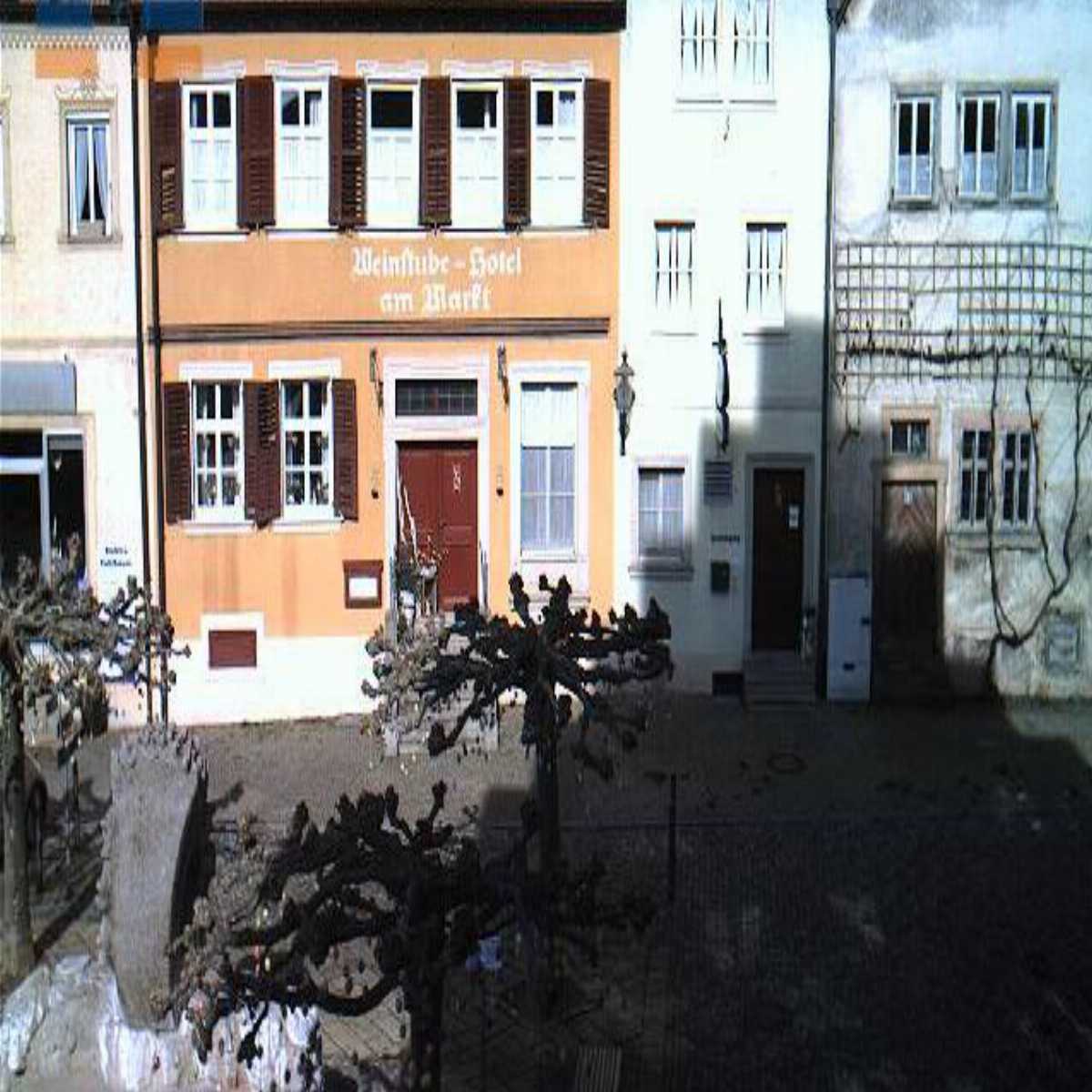 Zachenberg webcam