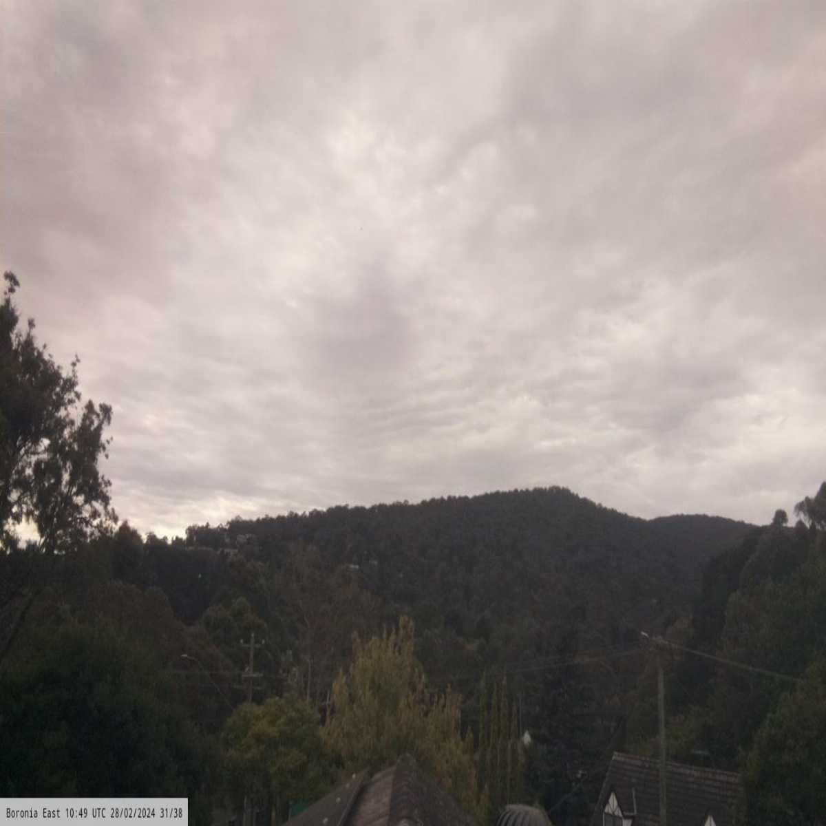 Dandenong webcam