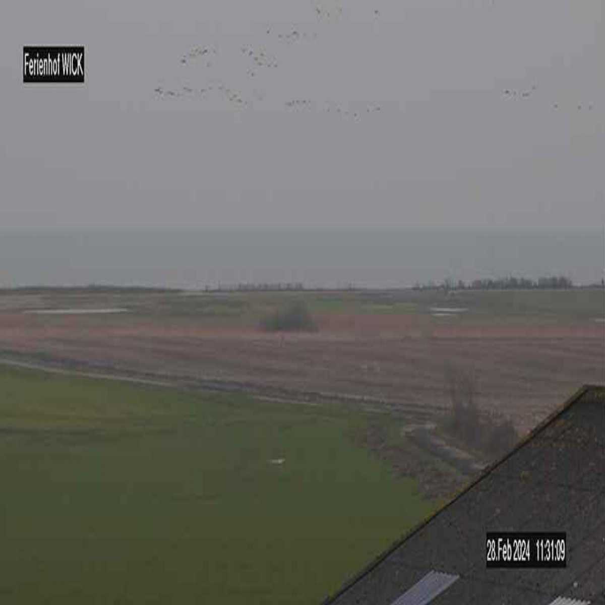 Reinbek webcam