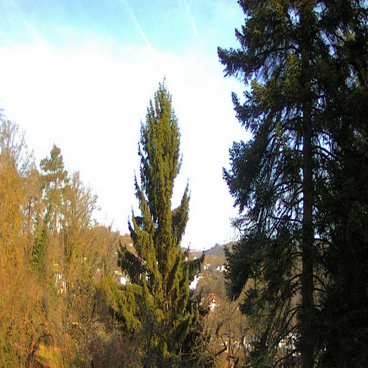Kottenheim webcam