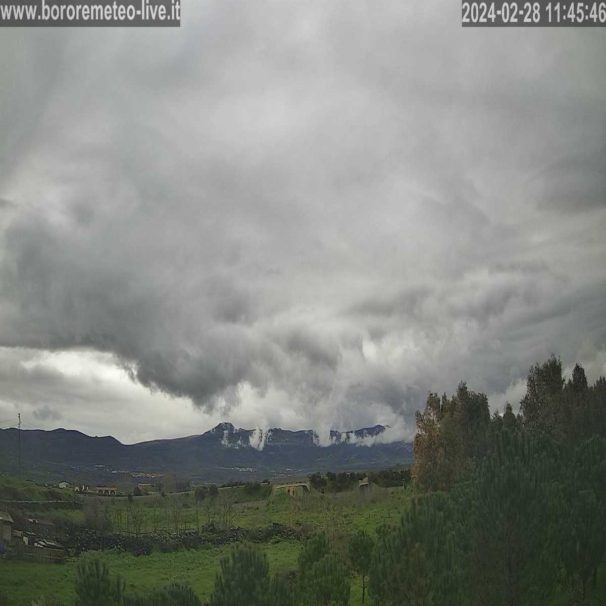 Tonara webcam