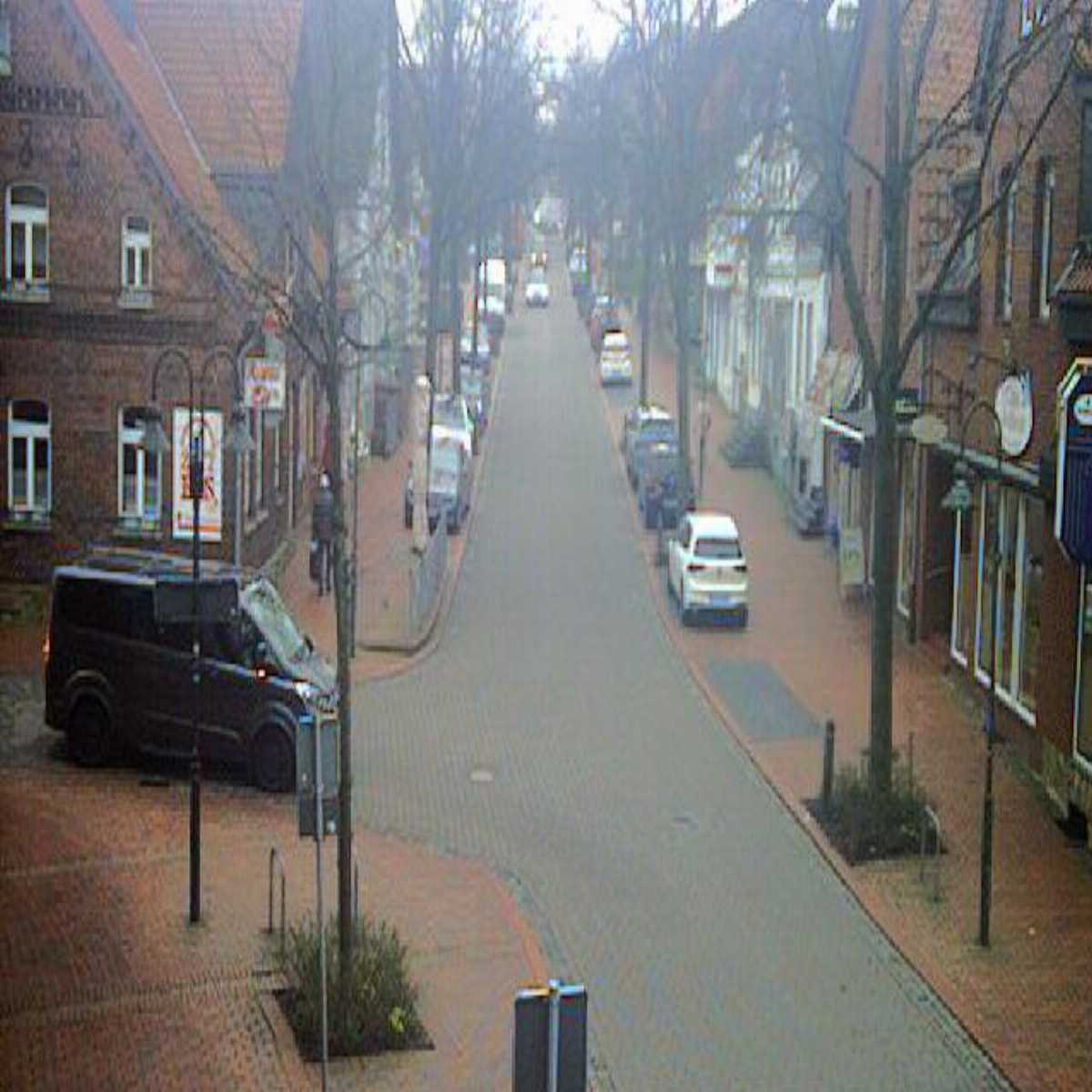 Reppenstedt webcam