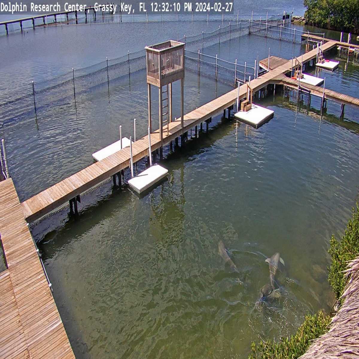 Titusville webcam