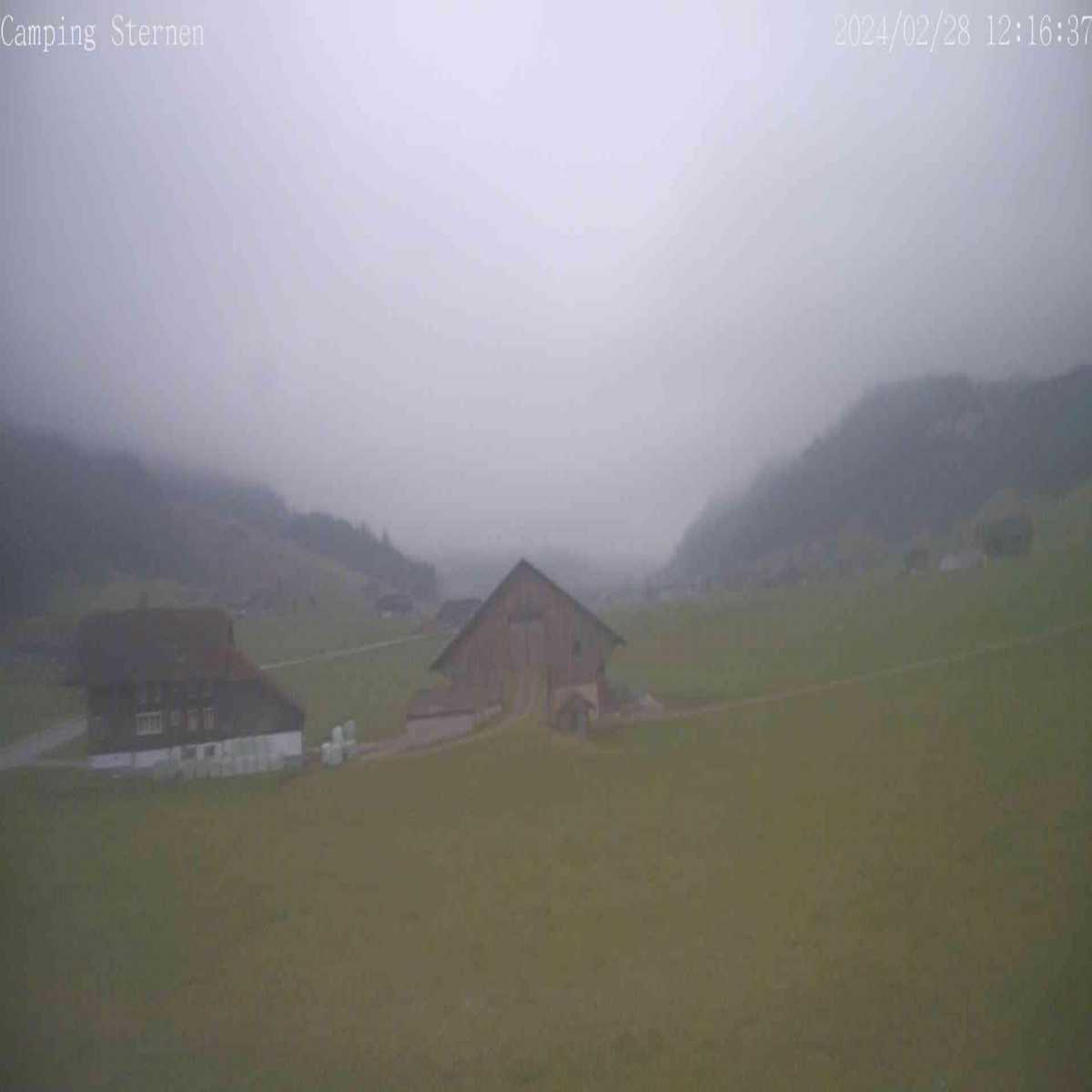 Root webcam