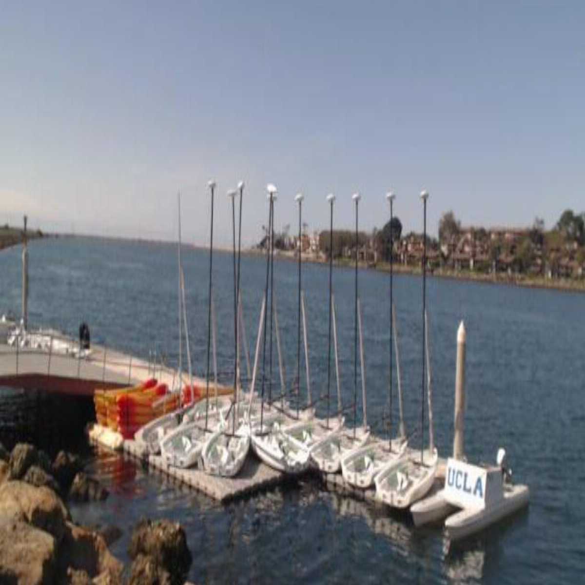 Walnut Creek webcam