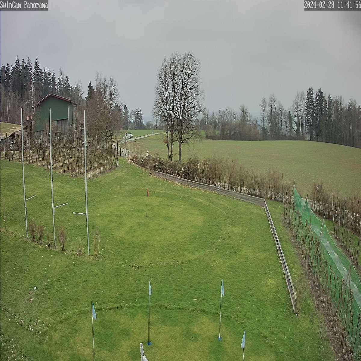 Schallstadt webcam