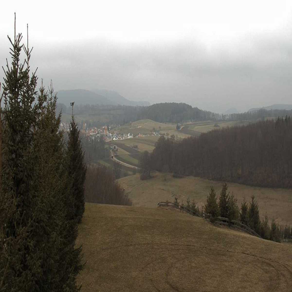 Schallstadt webcam
