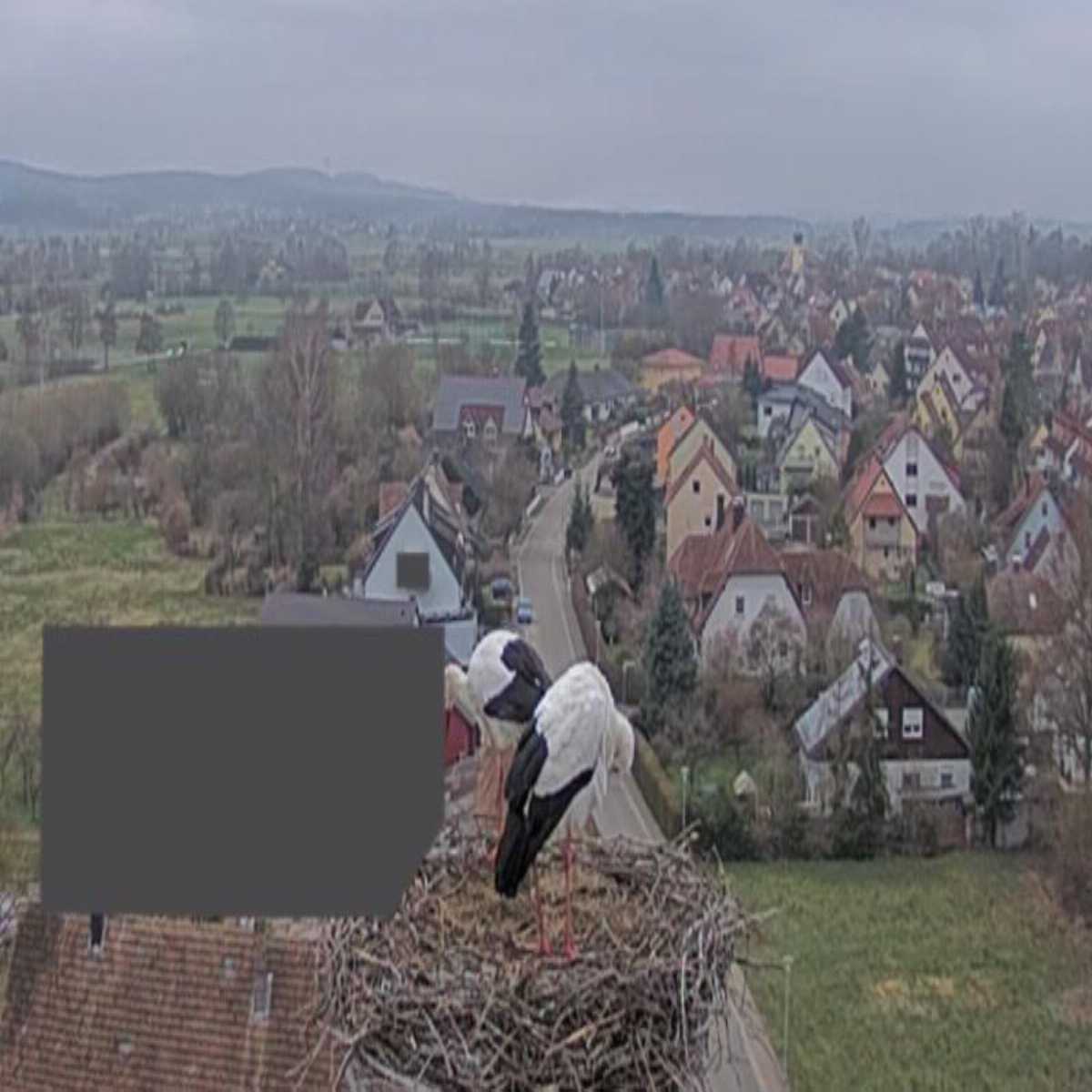 Zachenberg webcam