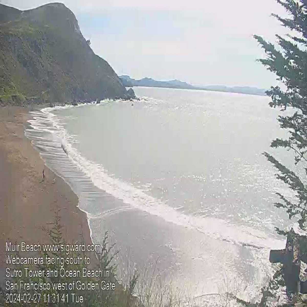 Walnut Creek webcam
