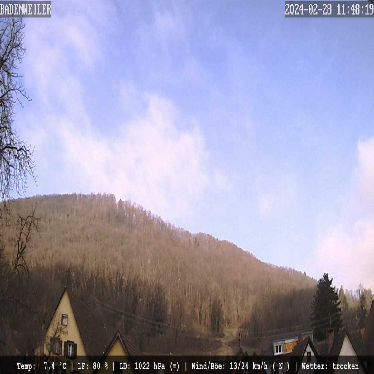 Schallstadt webcam