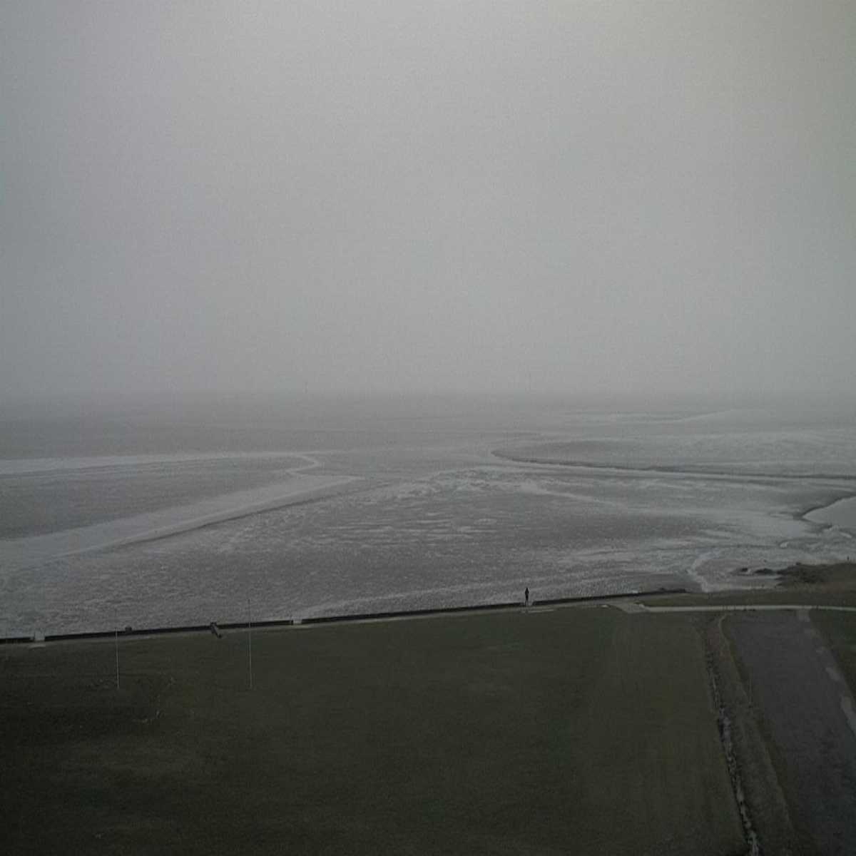 Reppenstedt webcam