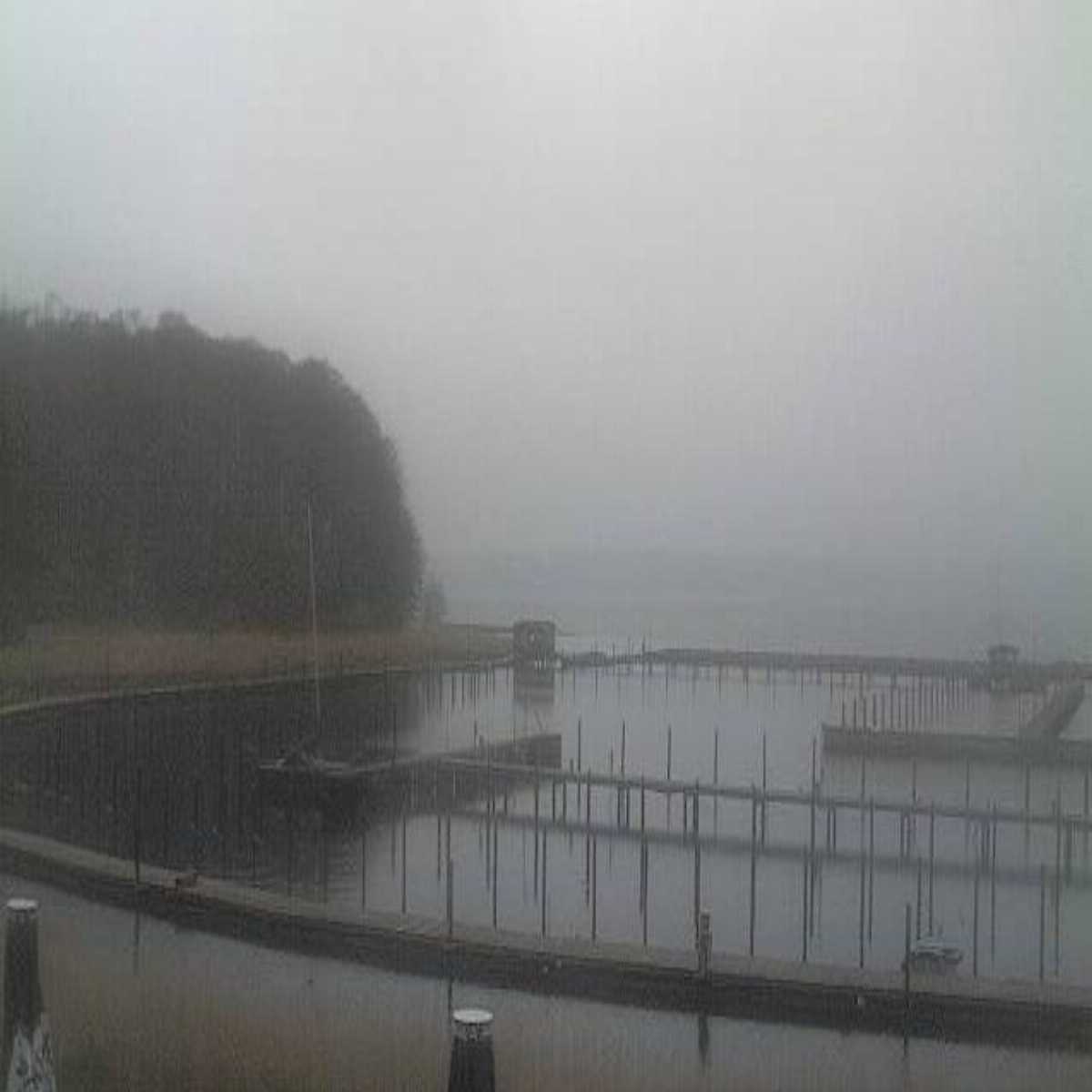 Reinbek webcam