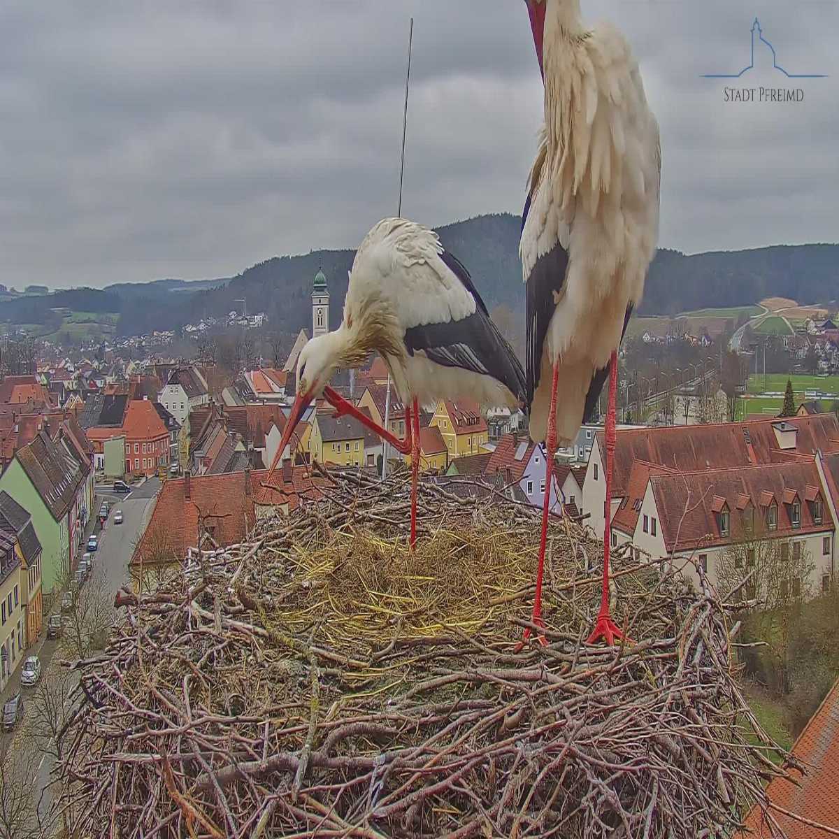 Zachenberg webcam
