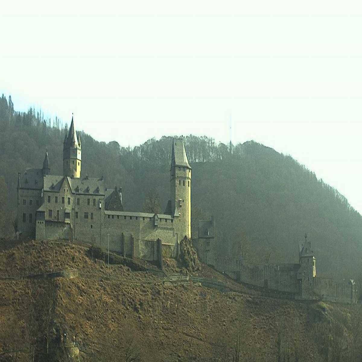 Riesenbeck webcam