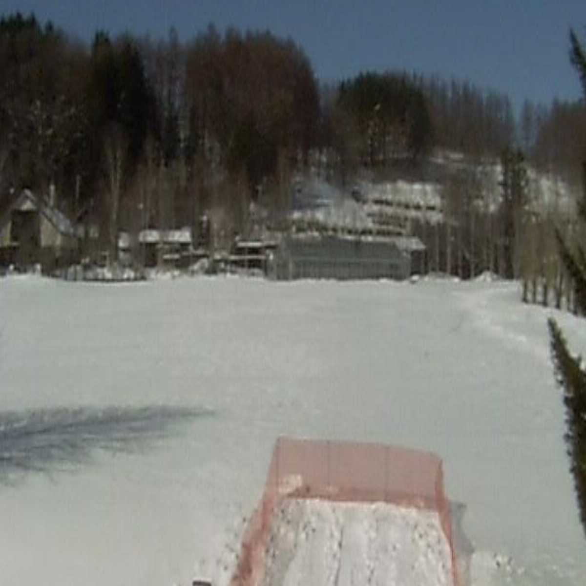 Shari webcam