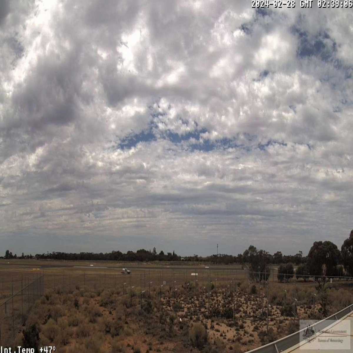 Darlinghurst webcam