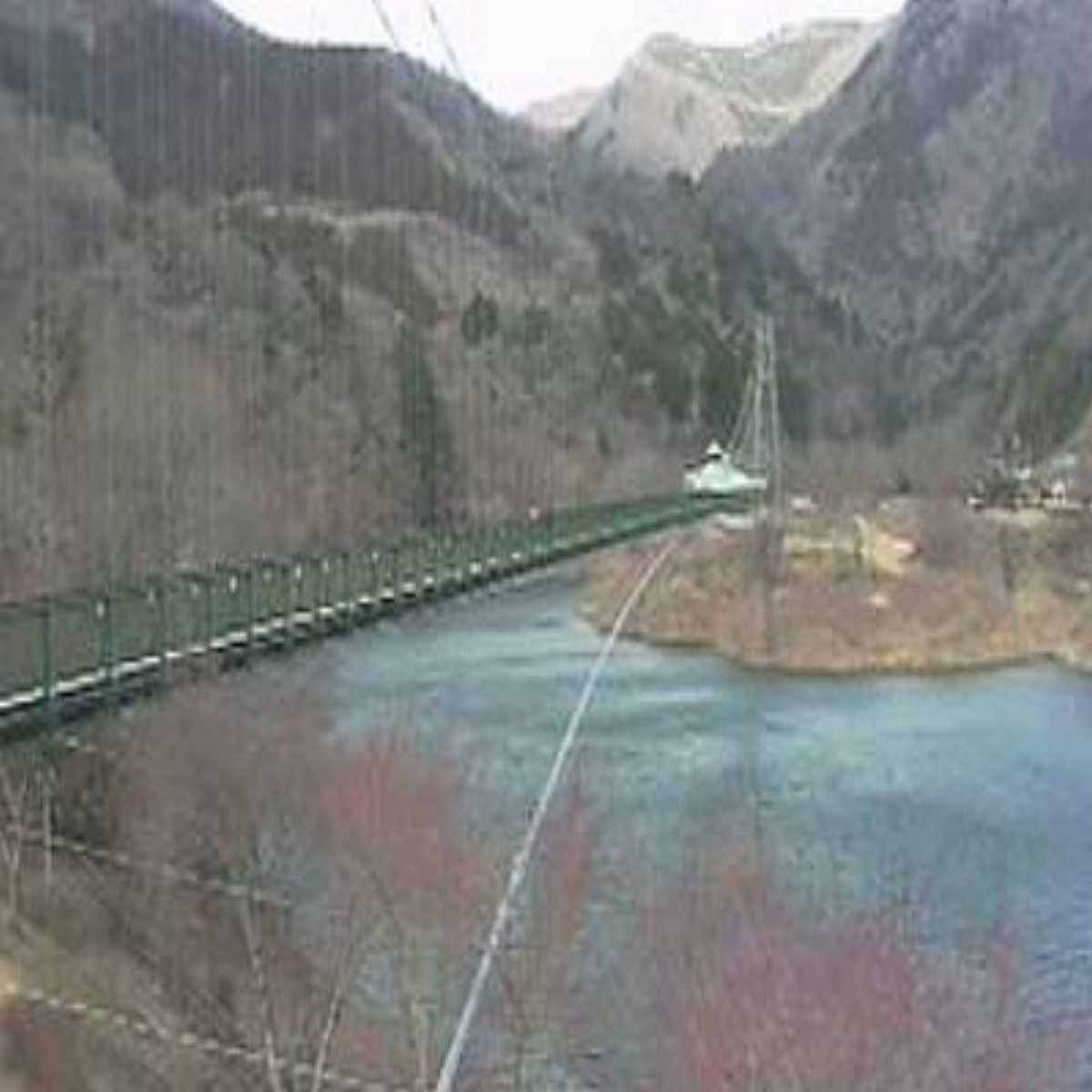Nikko webcam