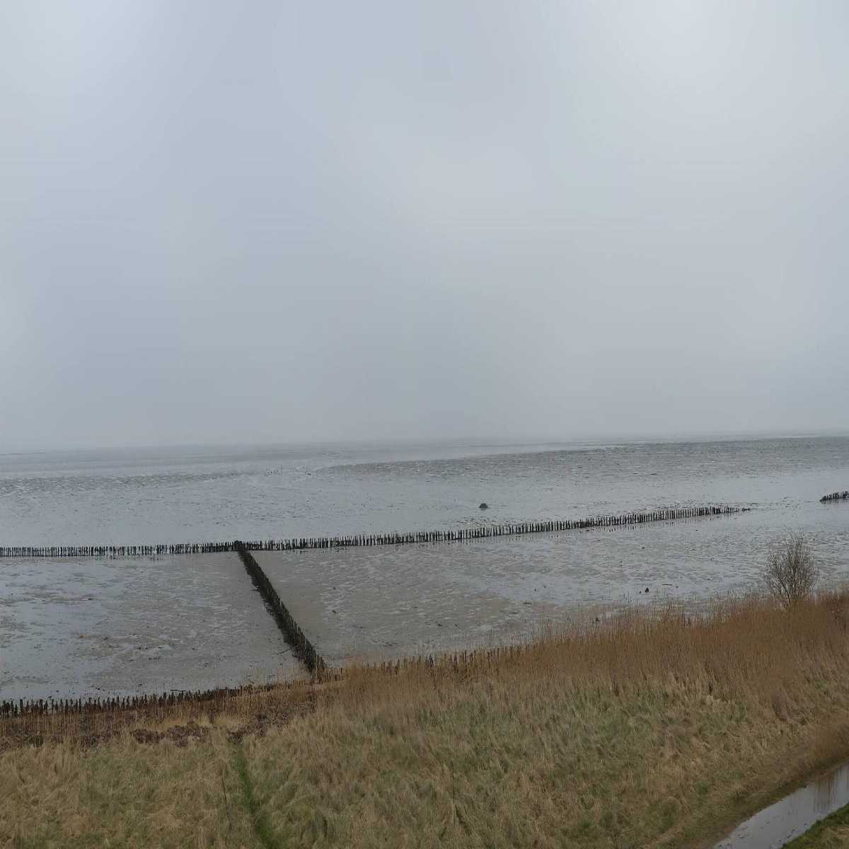 Reinbek webcam