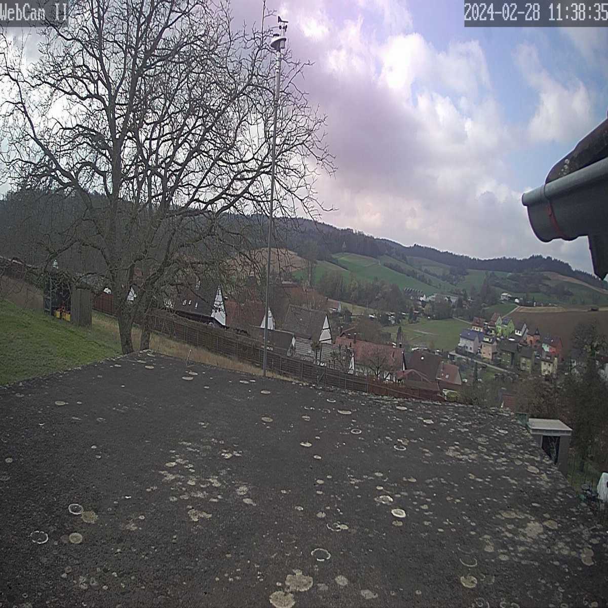Schallstadt webcam