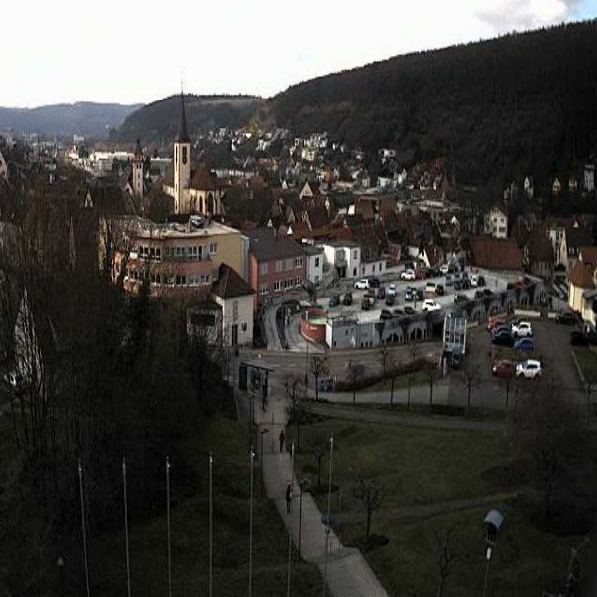 Schallstadt webcam